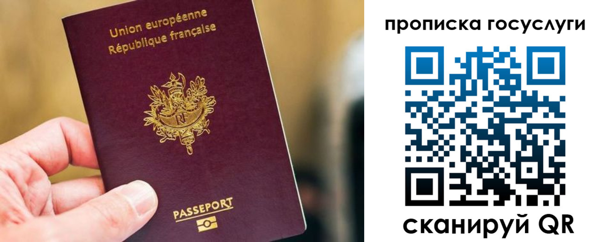 временная регистрация поиск в Майкопе